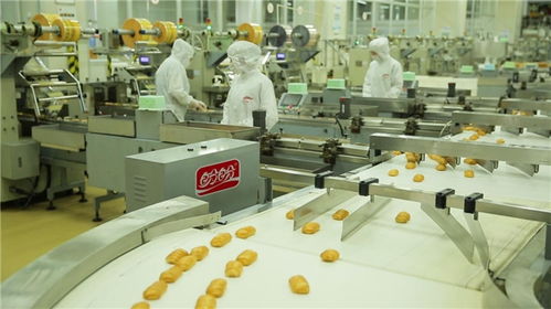 為巴黎奧運(yùn)喝彩，盼盼之家巴黎體驗(yàn)店閃耀法國街頭